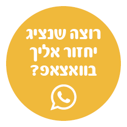 רוצה שנציג יחזור אליך בוואצאפ?