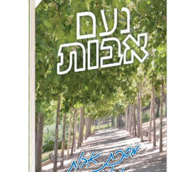 נועם אבות