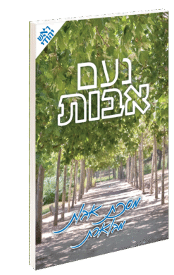 נועם אבות